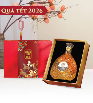 SET TẾT AN KHANG #2 