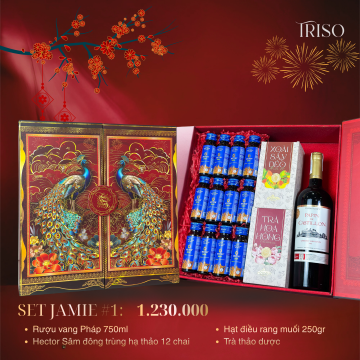 HỘP QUÀ TẾT JAMIE #1[ Rượu vang Pháp nhập 750ml + Sâm đông trùng hạ thảo + Hạt điều + Trà ]