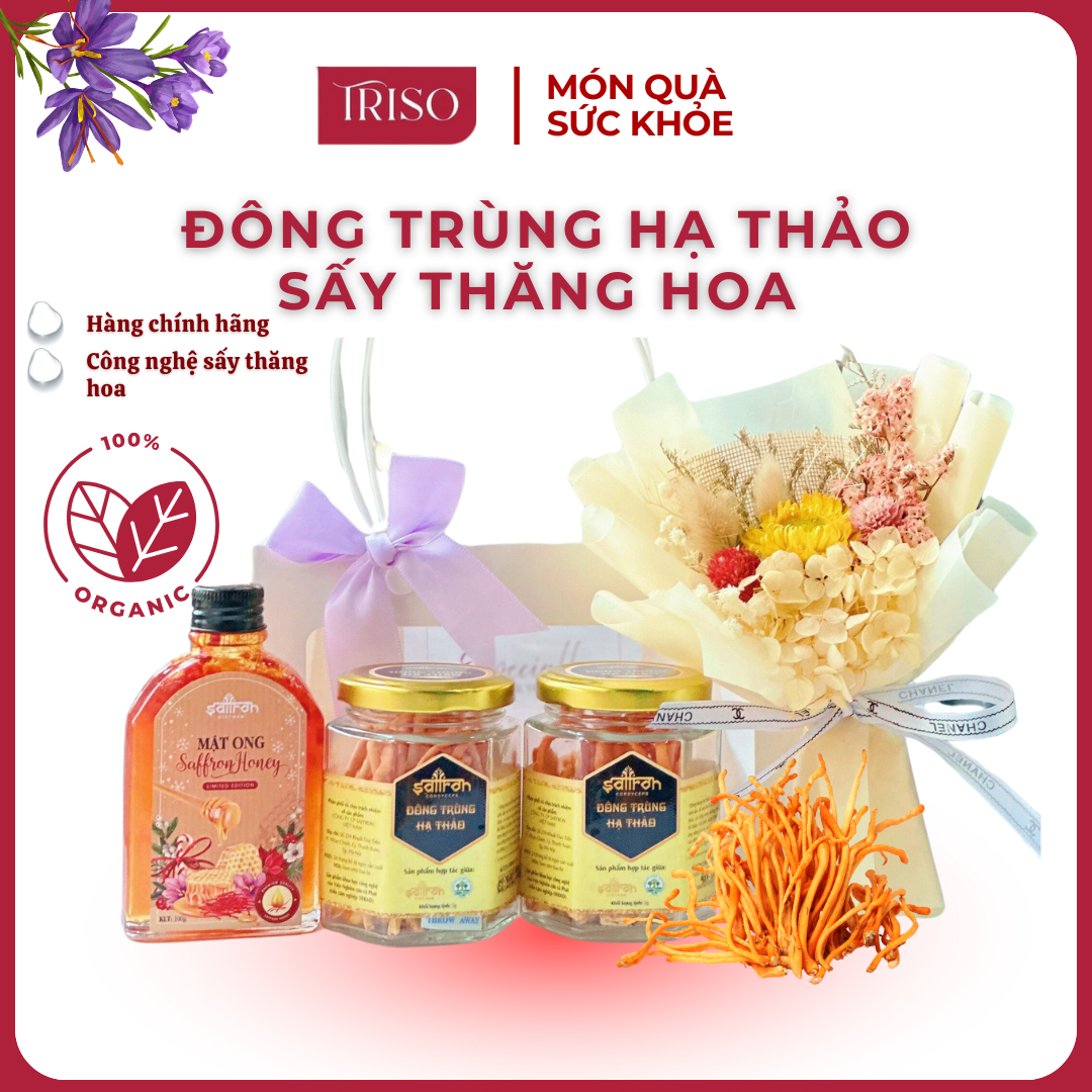 SET 2 HŨ ĐÔNG TRÙNG HẠ THẢO 