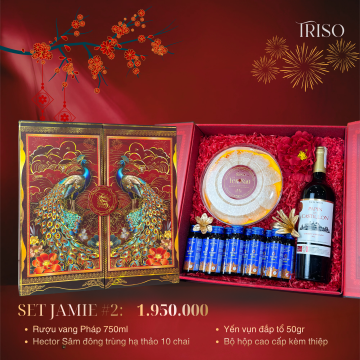 HỘP QUÀ TẾT JAMIE #2 [ Rượu vang Pháp nhập 750ml + Yến sào 50gr + Hector sâm 10 chai ]