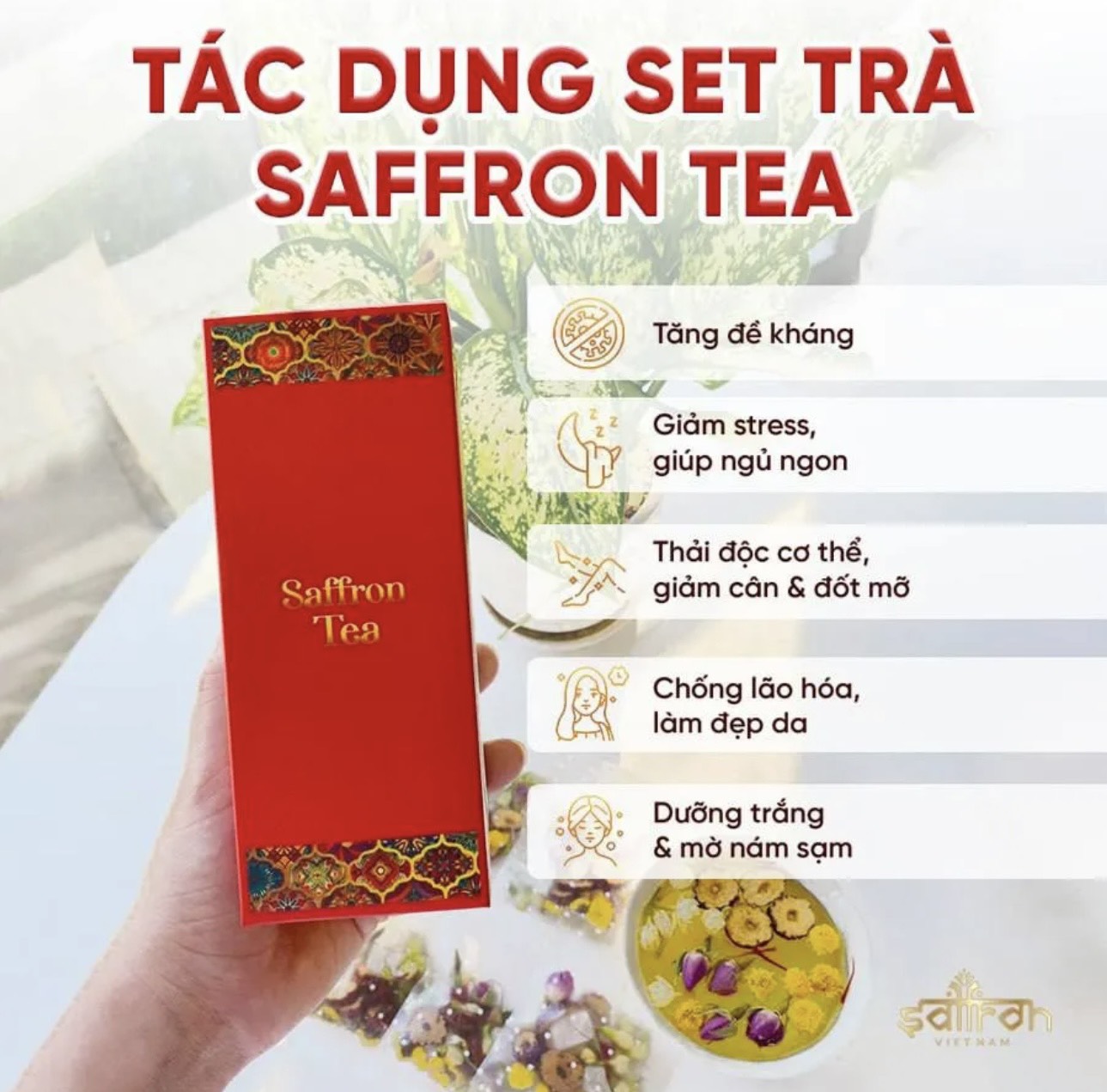 Set quà có hoa #5 - Qùa tặng sức khỏe
